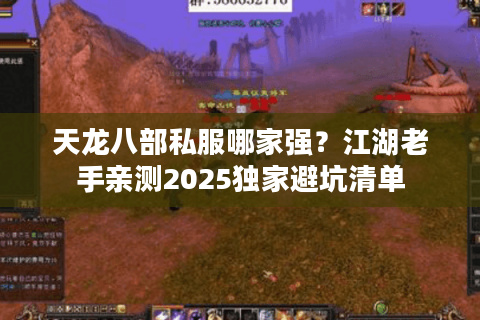 天龙八部私服哪家强？江湖老手亲测2025独家避坑清单