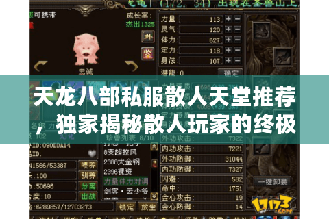 天龙八部私服散人天堂推荐，独家揭秘散人玩家的终极避风港