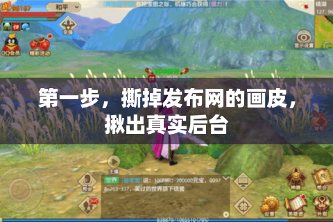 第一步，撕掉发布网的画皮，揪出真实后台