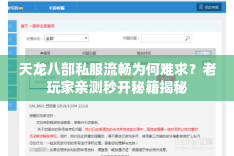 天龙八部私服流畅为何难求？老玩家亲测秒开秘籍揭秘