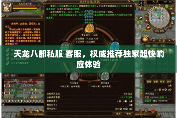 天龙八部私服 客服，权威推荐独家超快响应体验