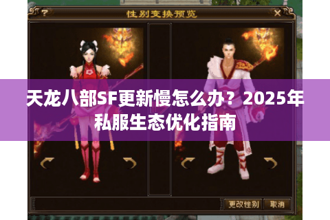 天龙八部SF更新慢怎么办？2025年私服生态优化指南