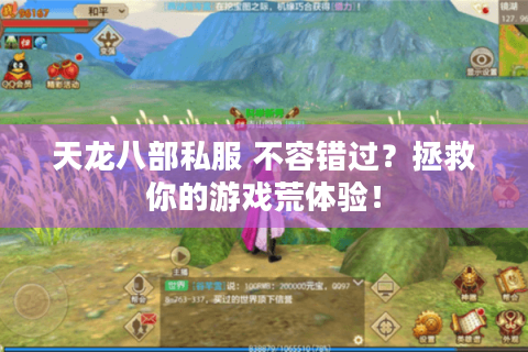 天龙八部私服 不容错过？拯救你的游戏荒体验！