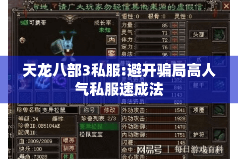 天龙八部3私服:避开骗局高人气私服速成法