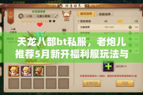 天龙八部bt私服，老炮儿推荐5月新开福利服玩法与避坑指南
