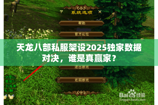 天龙八部私服架设2025独家数据对决，谁是真赢家？