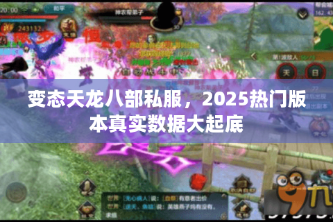 变态天龙八部私服，2025热门版本真实数据大起底