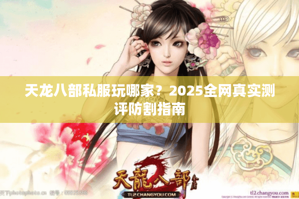 天龙八部私服玩哪家？2025全网真实测评防割指南