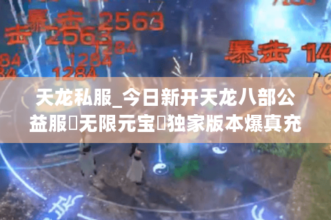 天龙私服_今日新开天龙八部公益服▻无限元宝◅独家版本爆真充长期开放