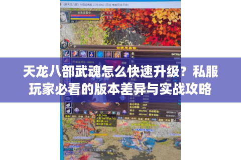 天龙八部武魂怎么快速升级?私服玩家必看的版本差异与实战攻略 天龙八部武魂怎么快速升级?私服玩家必看的版本差异与实战攻略