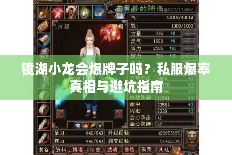 镜湖小龙会爆牌子吗？私服爆率真相与避坑指南