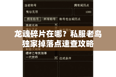 龙魂碎片在哪？私服老鸟独家掉落点速查攻略