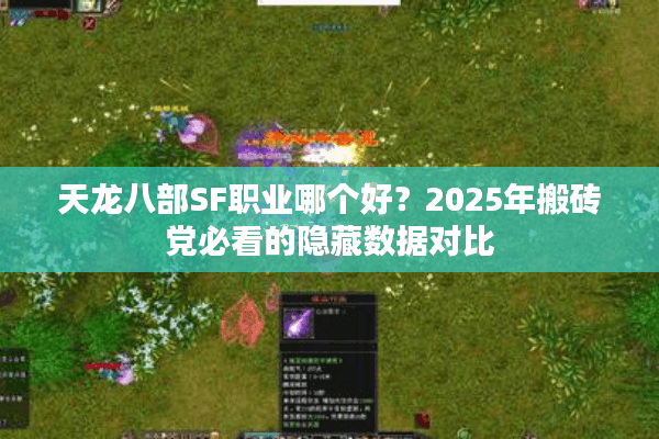 天龙八部SF职业哪个好？2025年搬砖党必看的隐藏数据对比