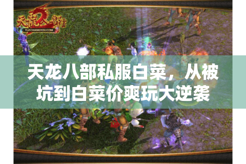 天龙八部私服白菜,从被坑到白菜价爽玩大逆袭 天龙八部私服白菜,从被坑到白菜价爽玩大逆袭