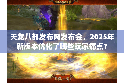 天龙八部发布网发布会，2025年新版本优化了哪些玩家痛点？