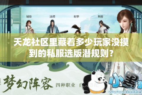 天龙社区里藏着多少玩家没摸到的私服选版潜规则? 天龙社区里藏着多少玩家没摸到的私服选版潜规则?