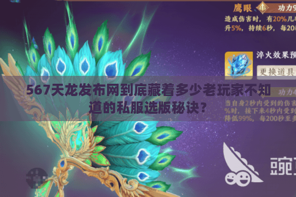 567天龙发布网到底藏着多少老玩家不知道的私服选版秘诀？