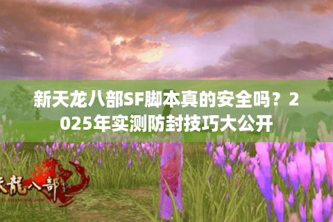 新天龙八部SF脚本真的安全吗？2025年实测防封技巧大公开