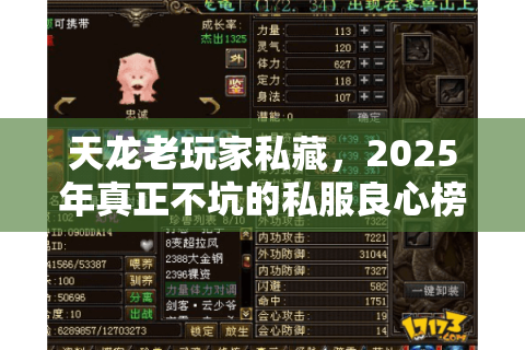 天龙老玩家私藏，2025年真正不坑的私服良心榜，这3款我玩了半年还没退