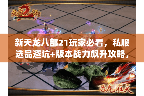 新天龙八部21玩家必看,私服选品避坑+版本战力飙升攻略,别再瞎试了! 新天龙八部21玩家必看,私服选品避坑+版本战力飙升攻略,别再瞎试了!