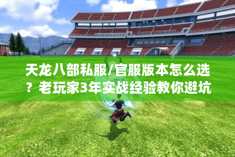 天龙八部私服/官服版本怎么选?老玩家3年实战经验教你避坑+全攻略 天龙八部私服/官服版本怎么选?老玩家3年实战经验教你避坑+全攻略