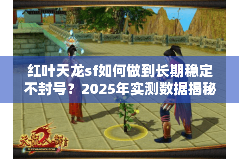 红叶天龙sf如何做到长期稳定不封号？2025年实测数据揭秘