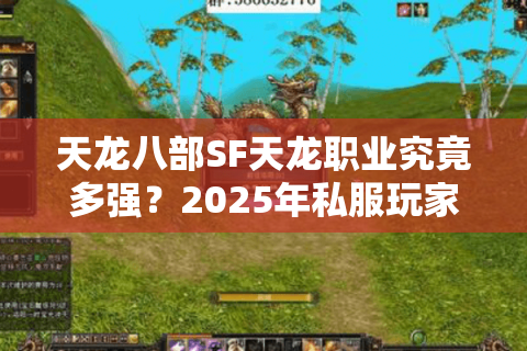 天龙八部SF天龙职业究竟多强？2025年私服玩家必看实战分析