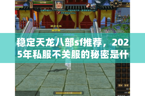 稳定天龙八部sf推荐，2025年私服不关服的秘密是什么？
