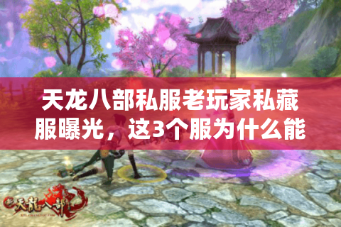 天龙八部私服老玩家私藏服曝光,这3个服为什么能让骨灰级玩家留3年? 天龙八部私服老玩家私藏服曝光,这3个服为什么能让骨灰级玩家留3年?