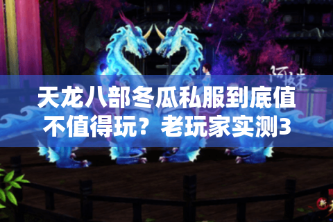 天龙八部冬瓜私服到底值不值得玩？老玩家实测30天的5个关键结论