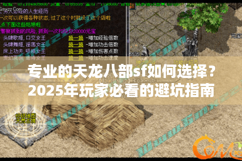 专业的天龙八部sf如何选择？2025年玩家必看的避坑指南
