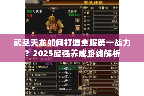 武圣天龙如何打造全服第一战力?2025最强养成路线解析 武圣天龙如何打造全服第一战力?2025最强养成路线解析
