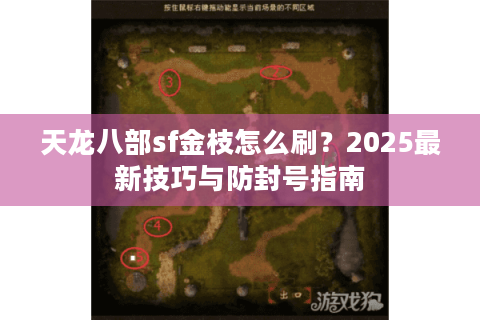 天龙八部sf金枝怎么刷？2025最新技巧与防封号指南