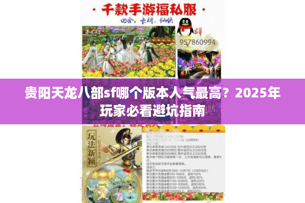 贵阳天龙八部sf哪个版本人气最高？2025年玩家必看避坑指南