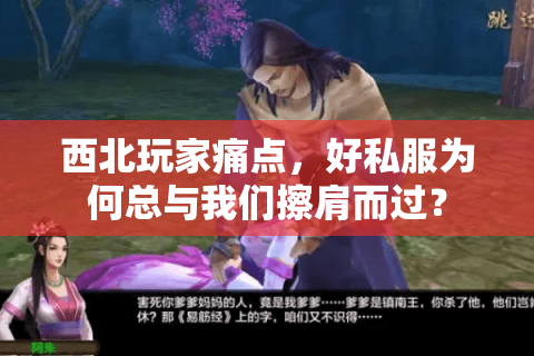 西北玩家痛点，好私服为何总与我们擦肩而过？