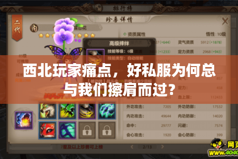 西北玩家痛点，好私服为何总与我们擦肩而过？