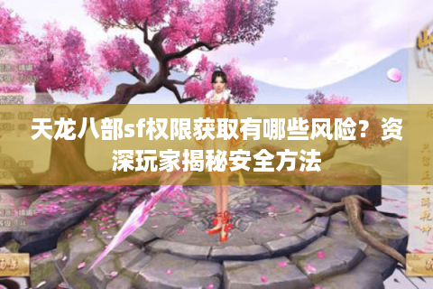 天龙八部sf权限获取有哪些风险？资深玩家揭秘安全方法