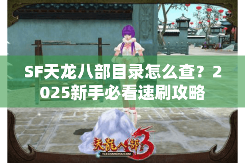 SF天龙八部目录怎么查？2025新手必看速刷攻略