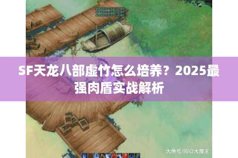 SF天龙八部虚竹怎么培养？2025最强肉盾实战解析