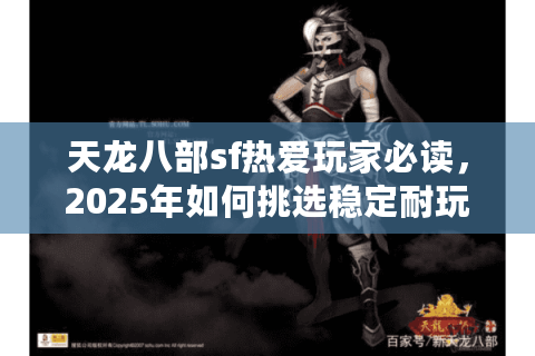 天龙八部sf热爱玩家必读，2025年如何挑选稳定耐玩的良心私服？