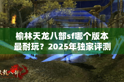 榆林天龙八部sf哪个版本最耐玩？2025年独家评测