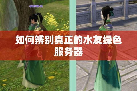 如何辨别真正的水友绿色服务器