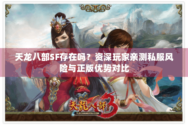 天龙八部SF存在吗？资深玩家亲测私服风险与正版优势对比