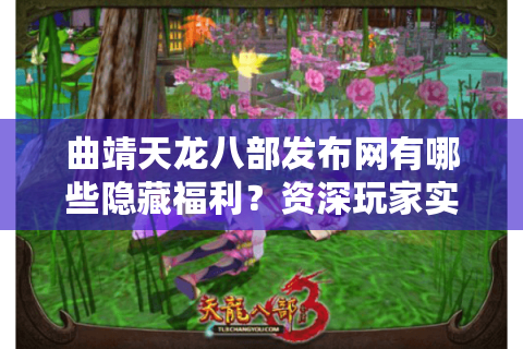 曲靖天龙八部发布网有哪些隐藏福利？资深玩家实测避坑指南