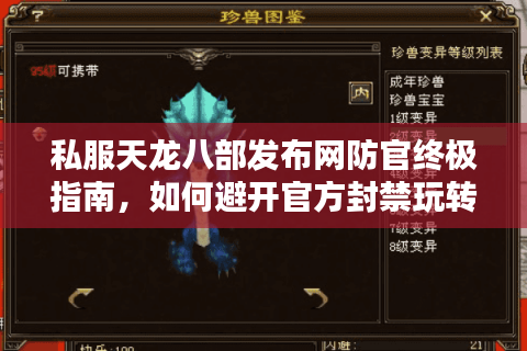 私服天龙八部发布网防官终极指南，如何避开官方封禁玩转怀旧服？