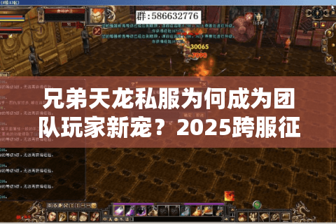 兄弟天龙私服为何成为团队玩家新宠？2025跨服征战全解析