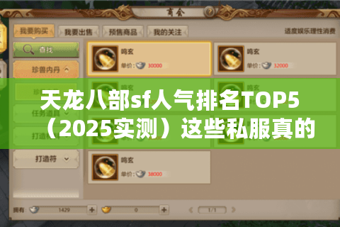 天龙八部sf人气排名TOP5（2025实测）这些私服真的能超越官服？