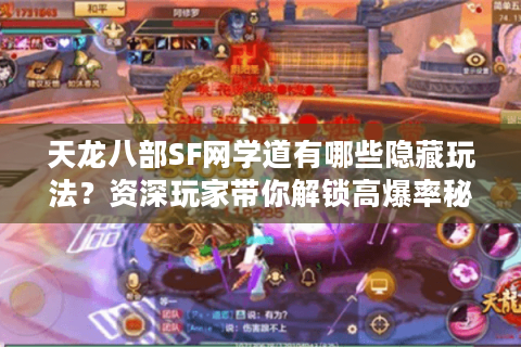 天龙八部SF网学道有哪些隐藏玩法？资深玩家带你解锁高爆率秘籍