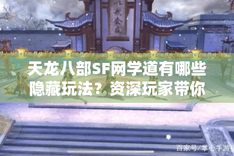 天龙八部SF网学道有哪些隐藏玩法？资深玩家带你解锁高爆率秘籍