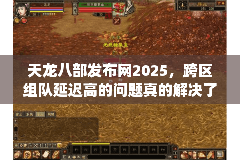 天龙八部发布网2025，跨区组队延迟高的问题真的解决了吗？